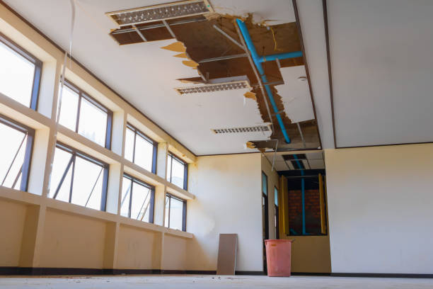 Best Water damage contractors near me  in Redkey, IN
