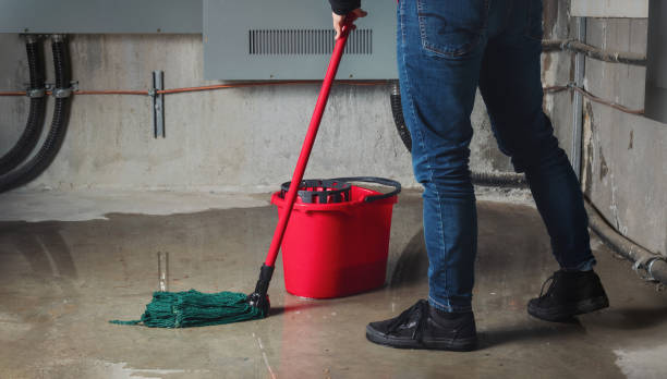 Best Carpet water damage restoration  in Redkey, IN