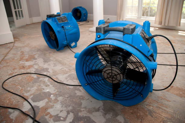  Redkey, IN Water damage restoration Pros