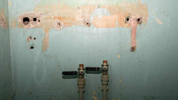Best Local water damage restoration  in Redkey, IN
