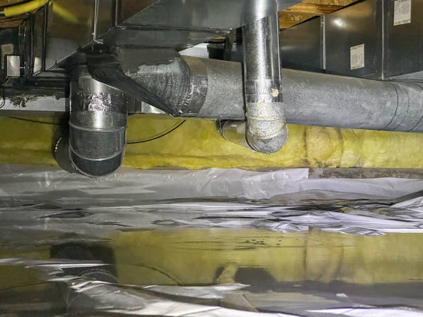 Best Professional water damage repair  in Redkey, IN