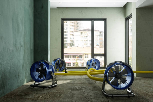 Best Flood restoration services  in Redkey, IN